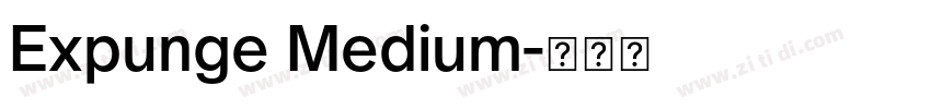 Expunge Medium字体转换
